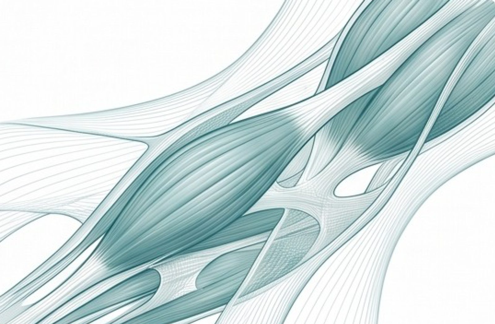 Illustration détaillée des fibres des fascias